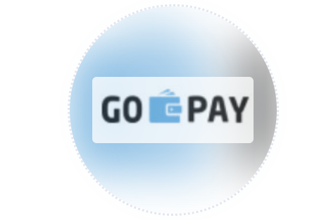 gopay支付平台下载